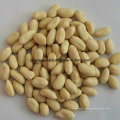 Китайская новая кукуруза Бланшированное ядро ​​арахиса